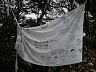 岡山の保育園の登山記念の寄せ書き