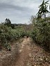 20260422_103204