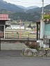 20250420marason044